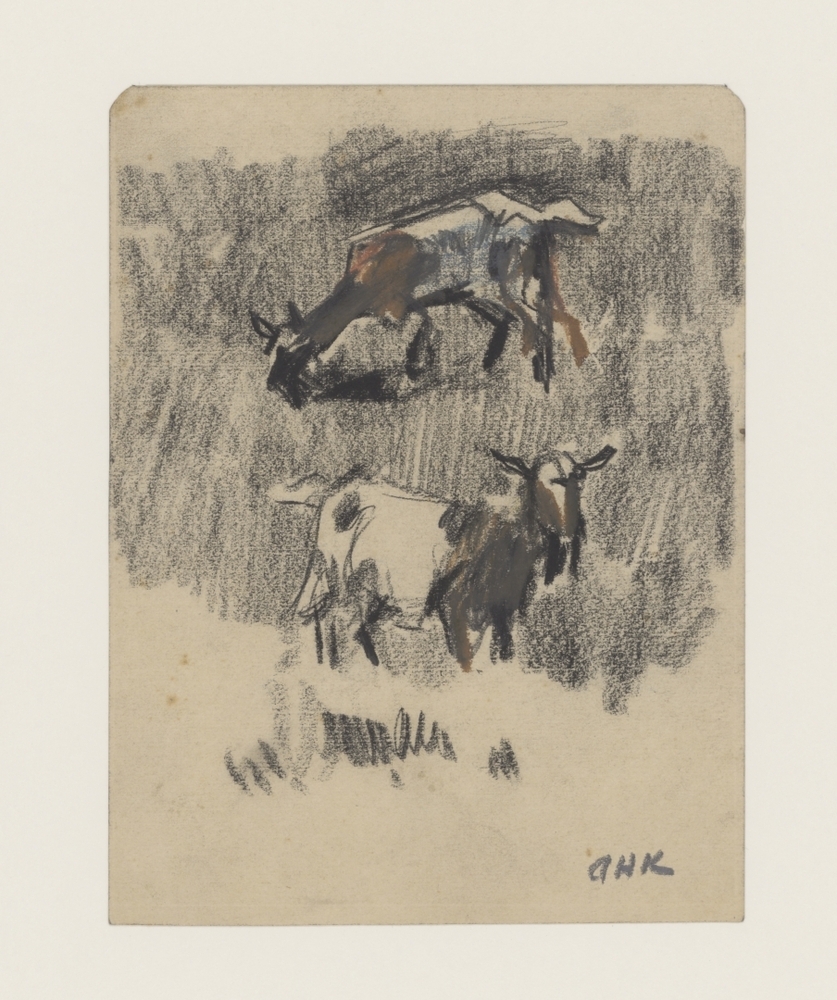 Twee geiten in de weide