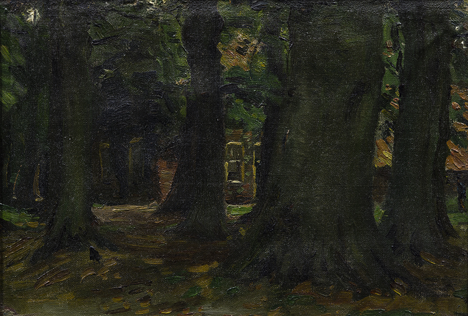 Huis tussen bomen (studie)