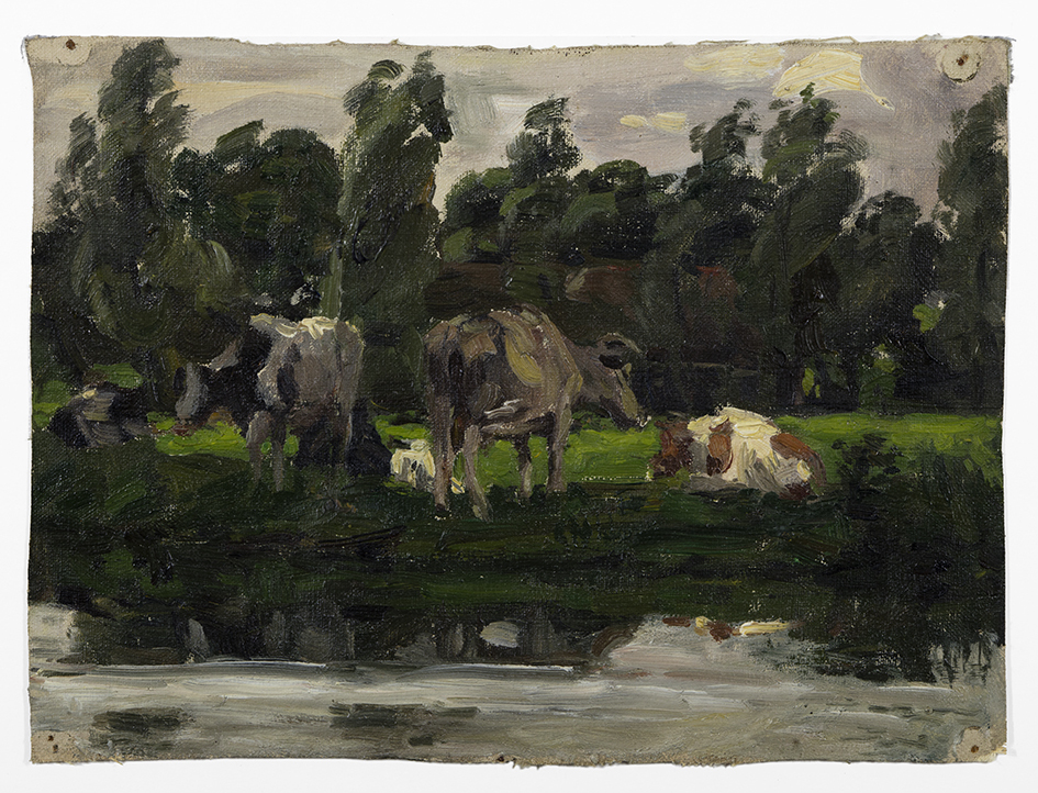 Koeien aan het water (studie)