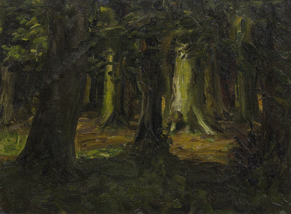 Pad door donker bos (studie)