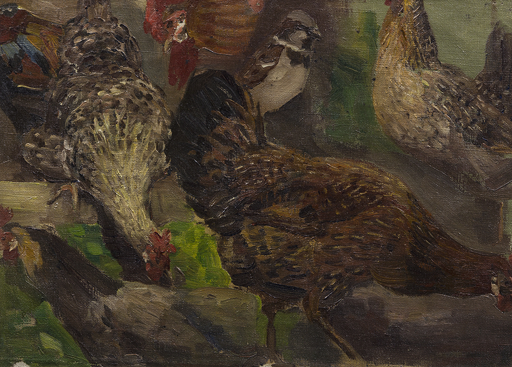 Kippen en mus (studie)