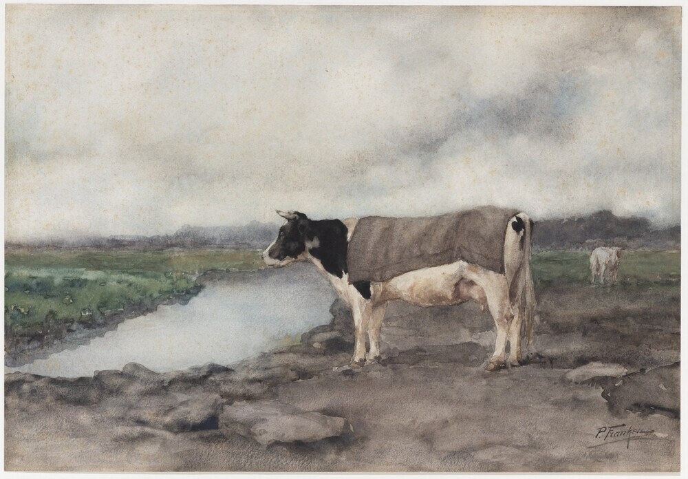 Weidelandschap met koe