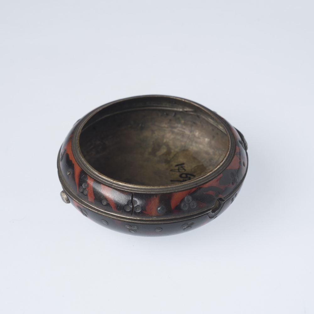 Schildpad beschermkast horloge