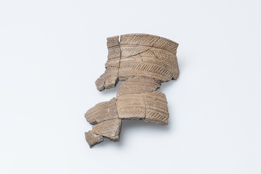 Randscherf klokbeker (Glimmen)