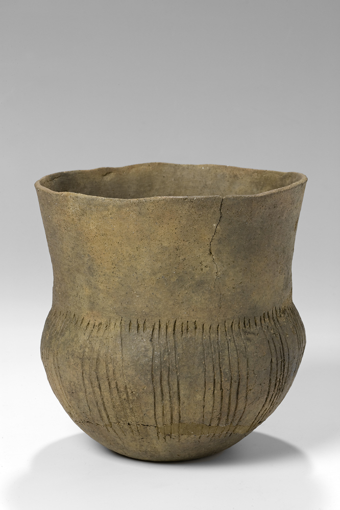 Trechterbeker (Glimmen)