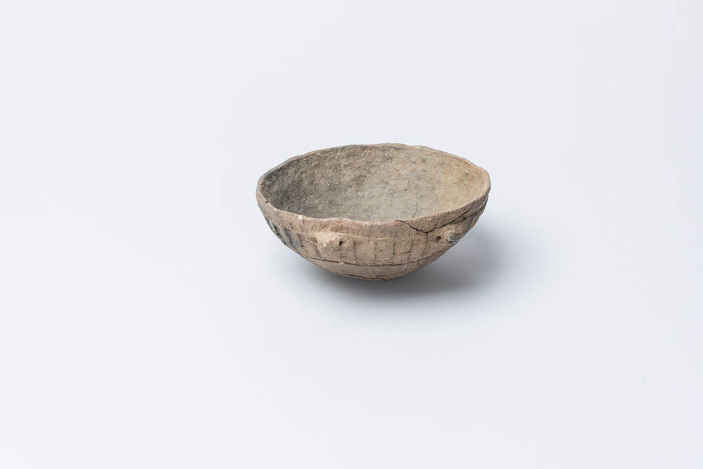 Schaaltje met knobbeloortjes (Glimmen)