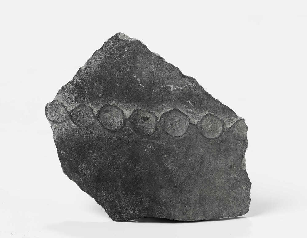 diverse archeologische vondsten (Heiligerlee)