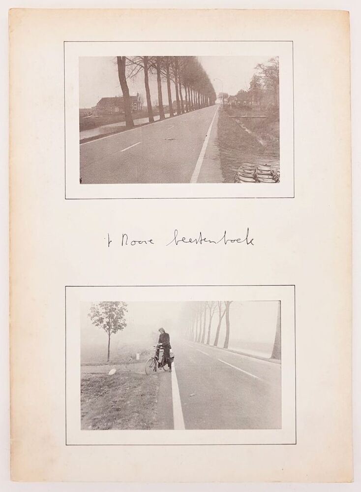 't dooie beestenboek