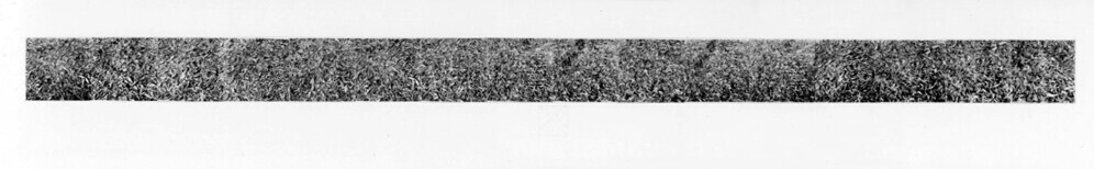 Structure Piece (serie: Autumn Structures)