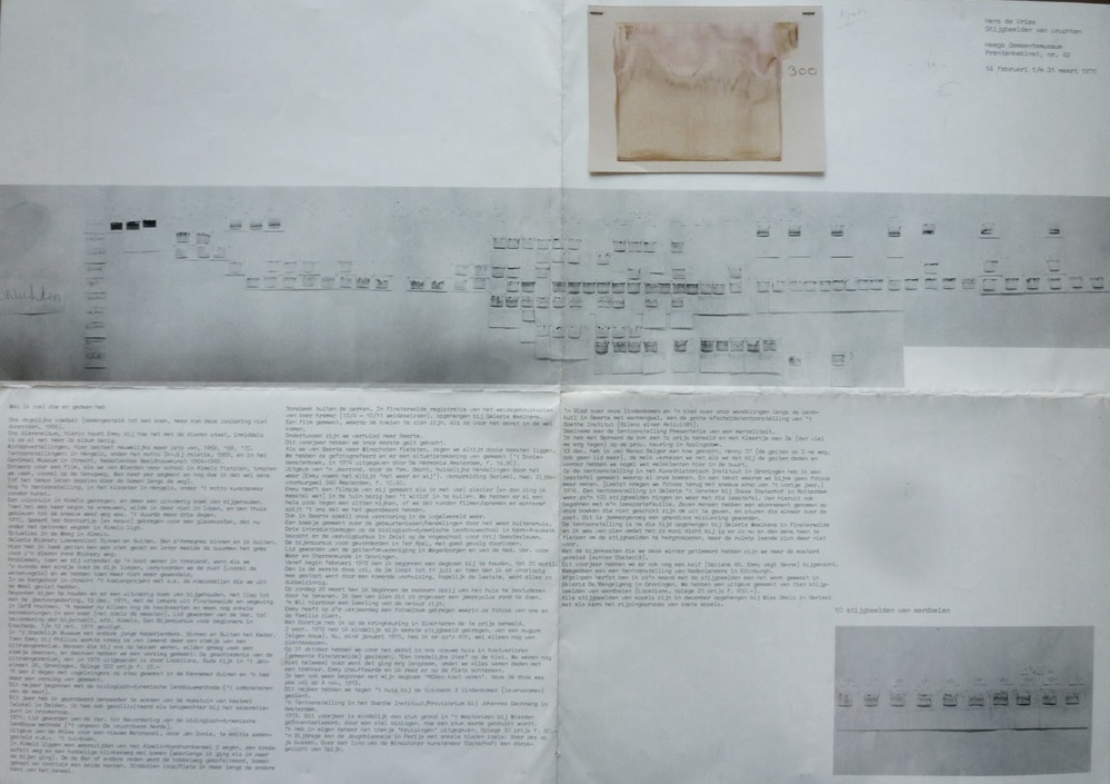 Stijgbeelden van vruchten