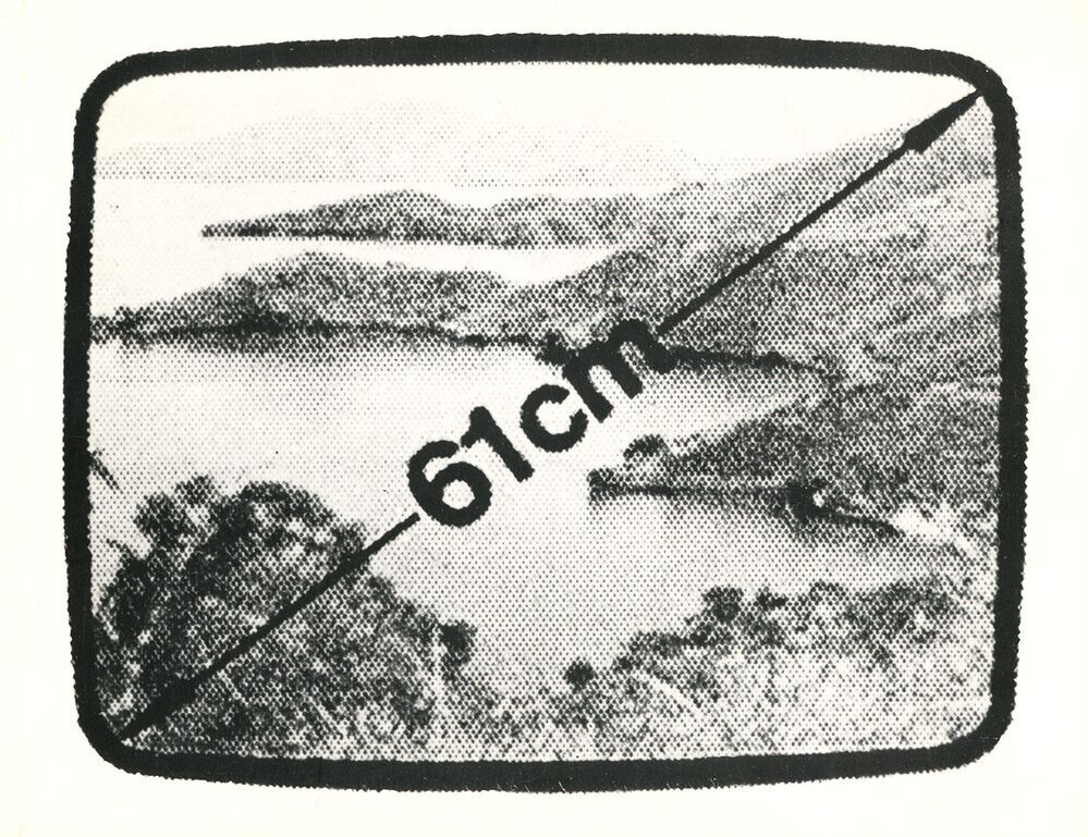 Fernsehen in Nahsicht- Statistik der Fernsehbilder (1968)