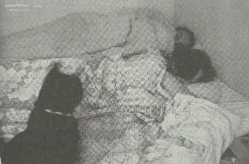 Lin, Roger and Me on a Sunday Morning In November 1971