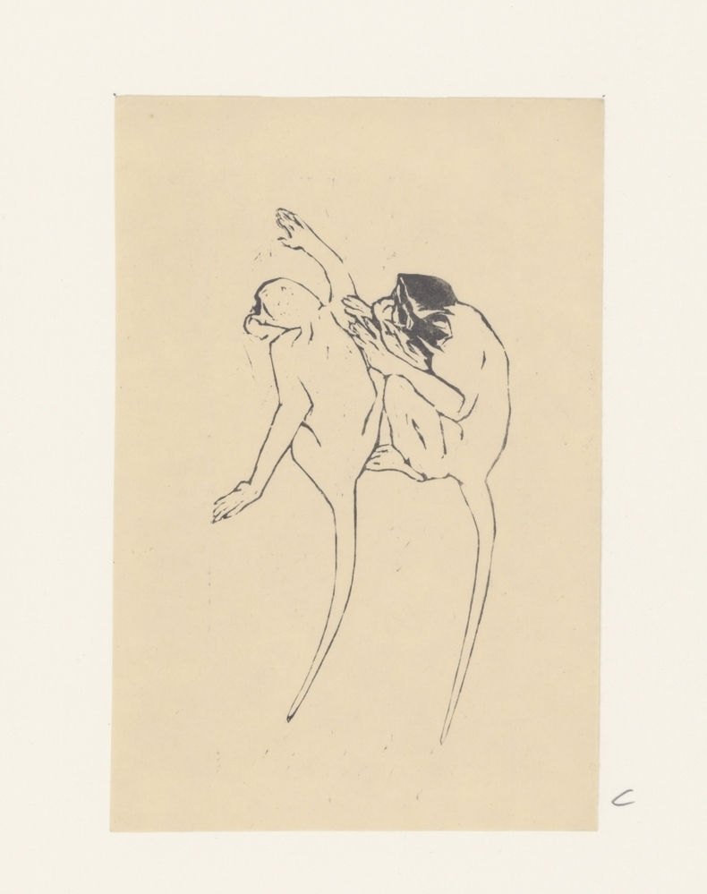 Twee apen (uit de serie: Apen)