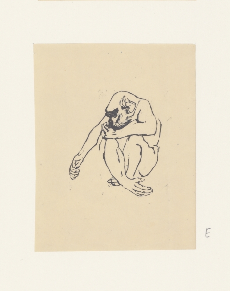 Aap (uit de serie: Apen)