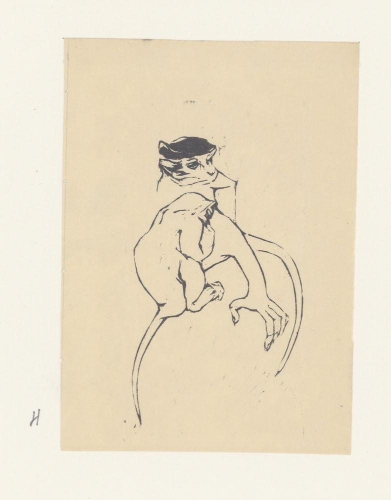 Aap (uit de serie: Apen)