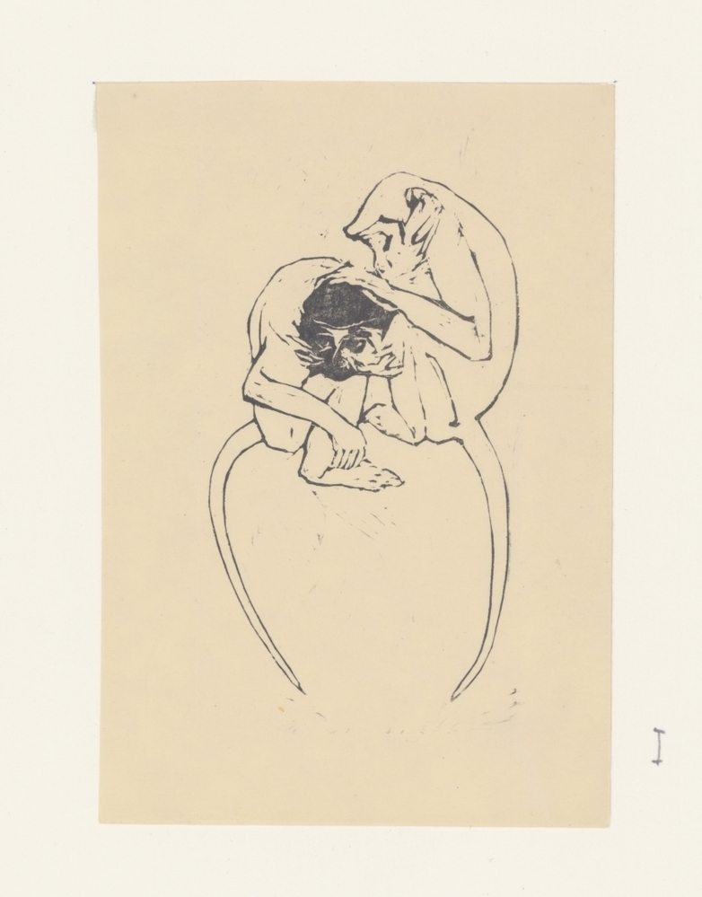 Aap (uit de serie: Apen)