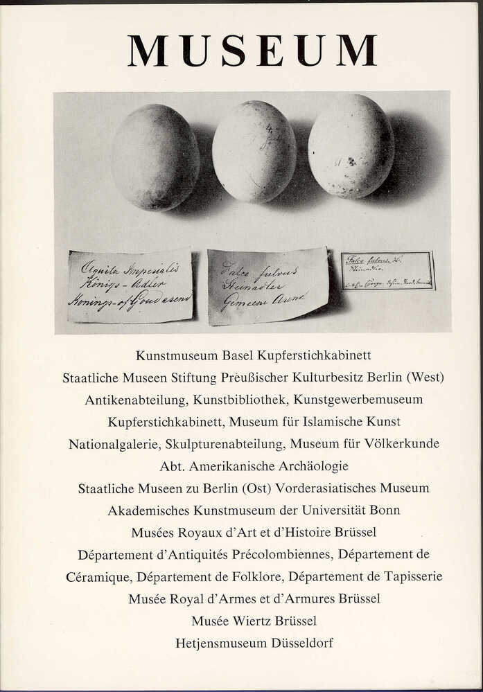 Der Adler vom Oligozän bis Heute