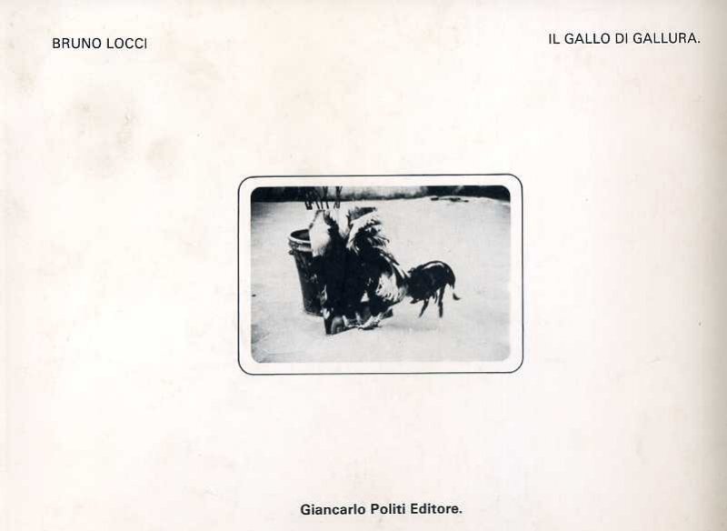 Il Gallo di Gallura