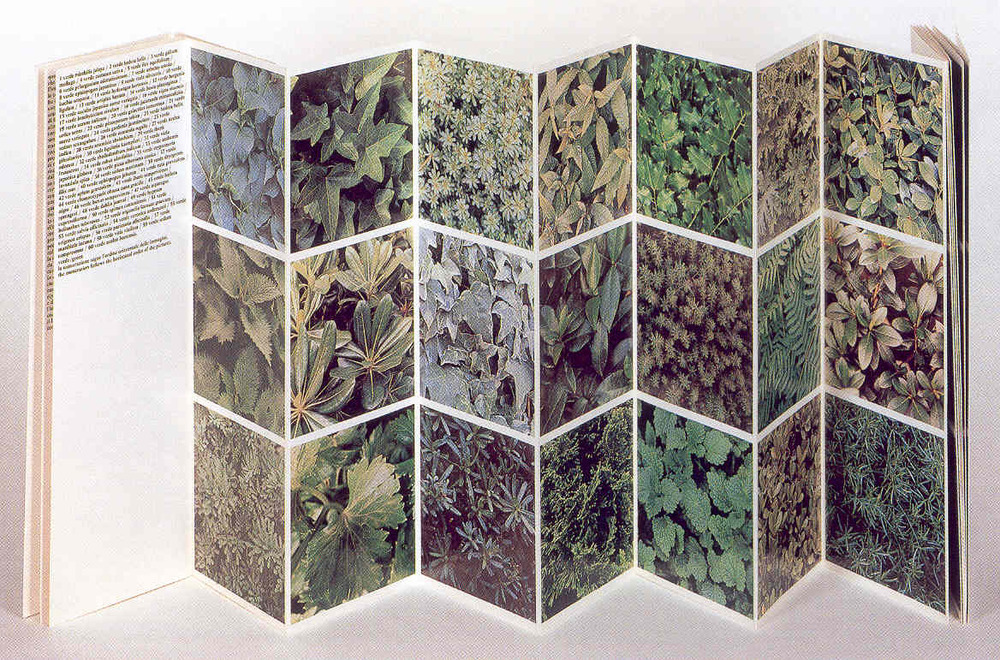 Sessanta verdi naturali