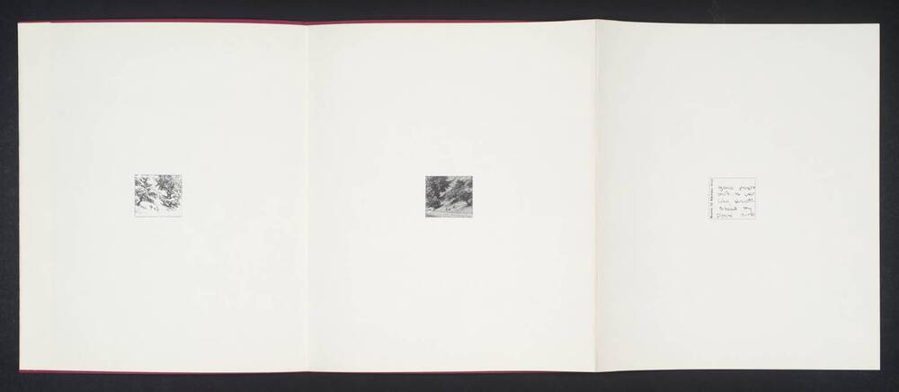 The Source of the Dove