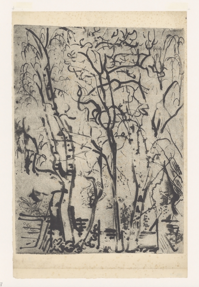 Bomen (tuin H.W. Mesdagstraat)