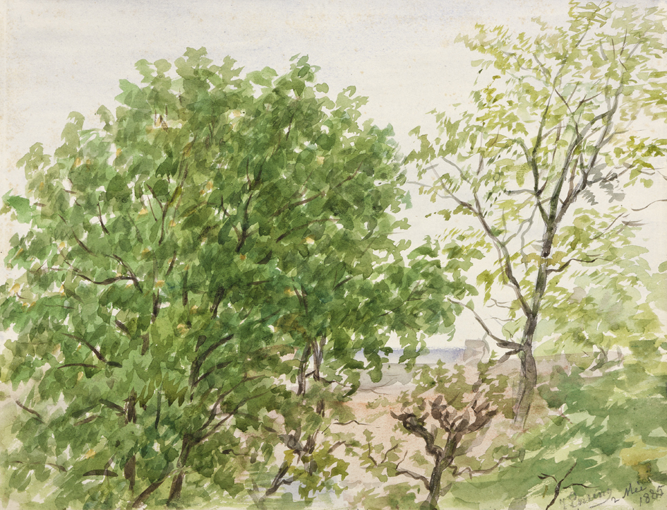 Hofstraat (uit de 8-delige serie: Uit mijn raam)