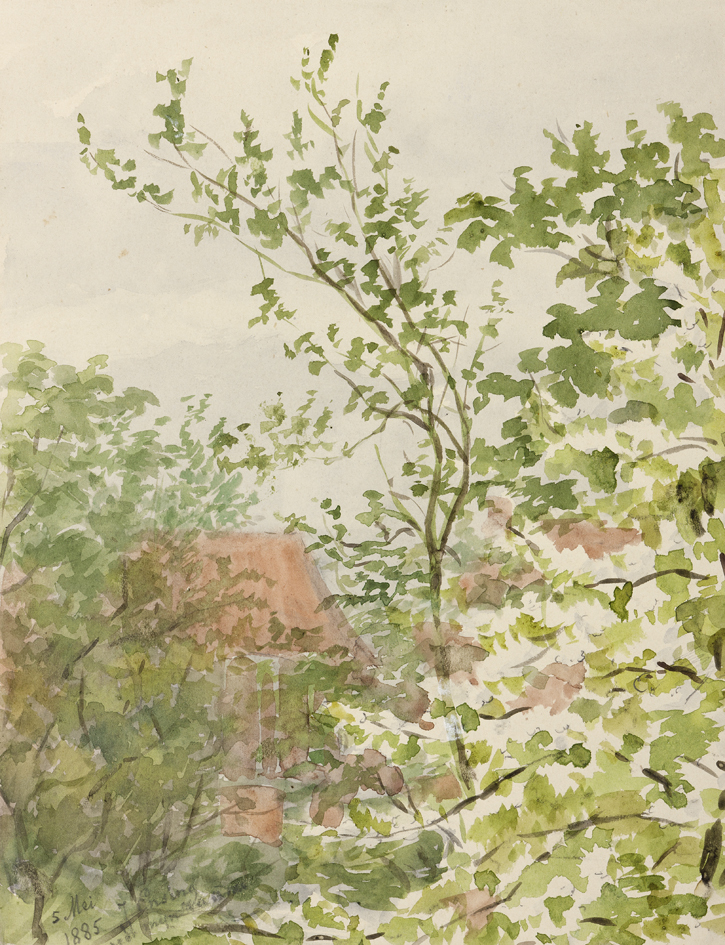 Hofstraat (uit de 8-delige serie: Uit mijn raam)