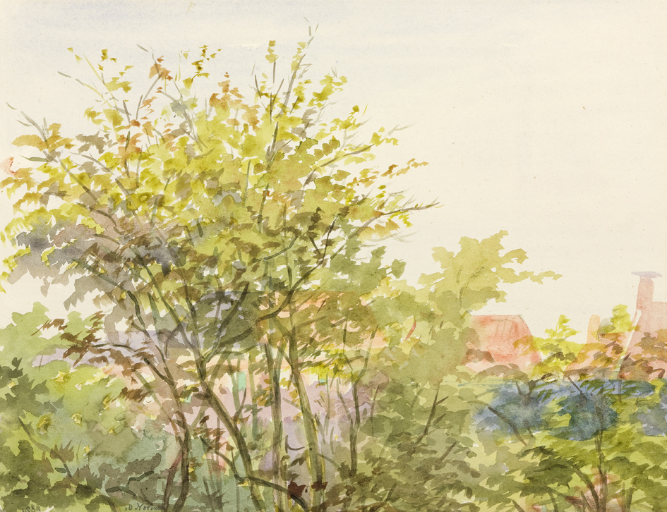 Hofstraat (uit de 8-delige serie: Uit mijn raam)