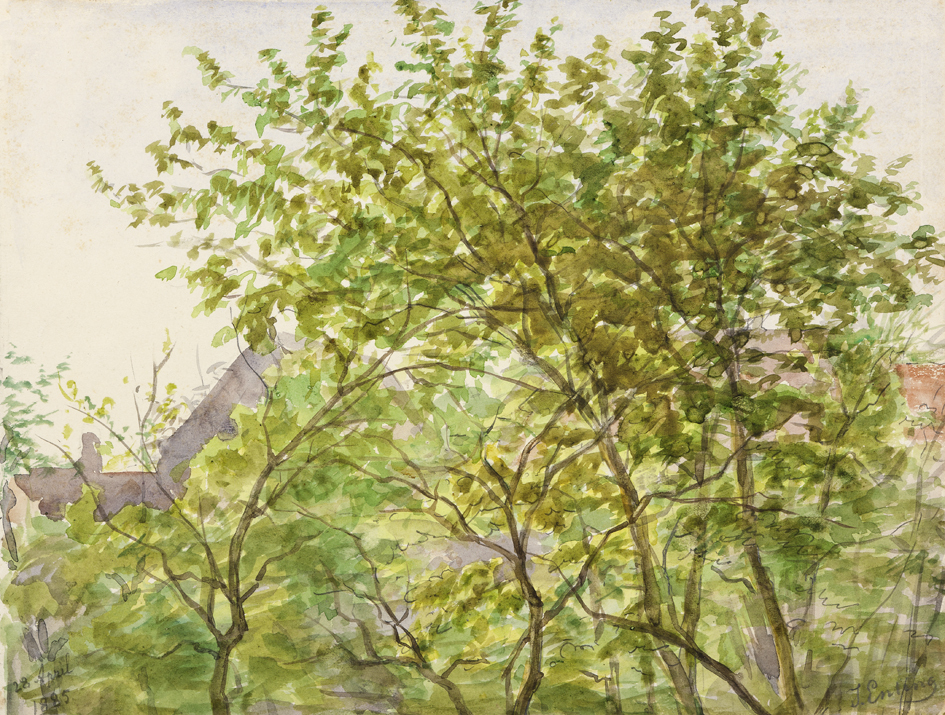 Hofstraat (uit de 8-delige serie: Uit mijn raam)