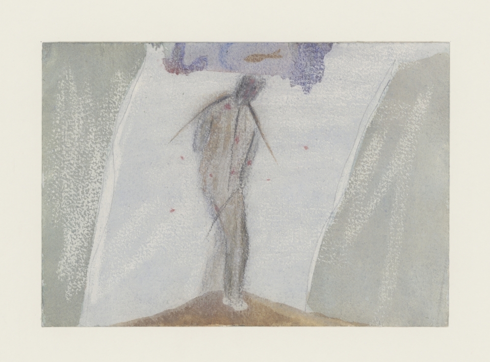 Giardino che si biforca