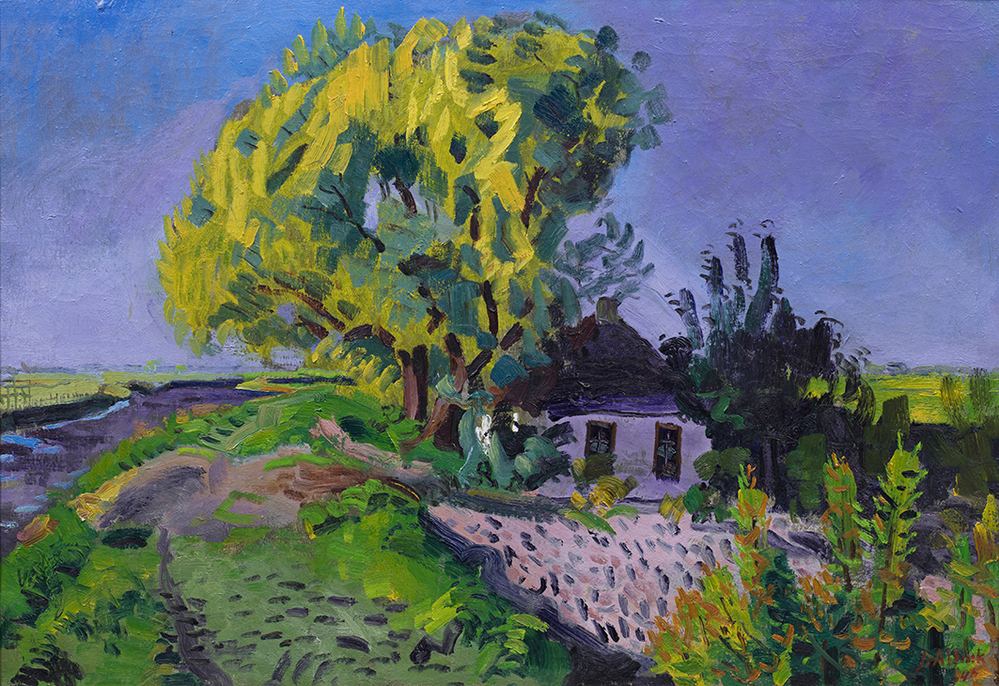 Purper landschap Blauwborgje