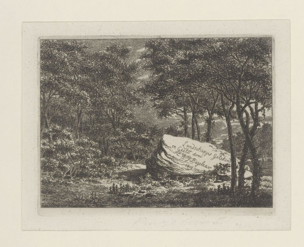 Boslandschap met steen