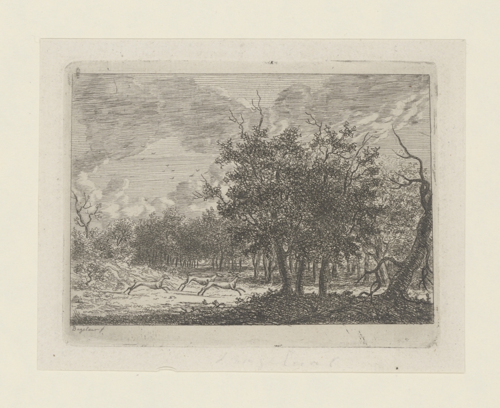 Boslandschap met drie herten