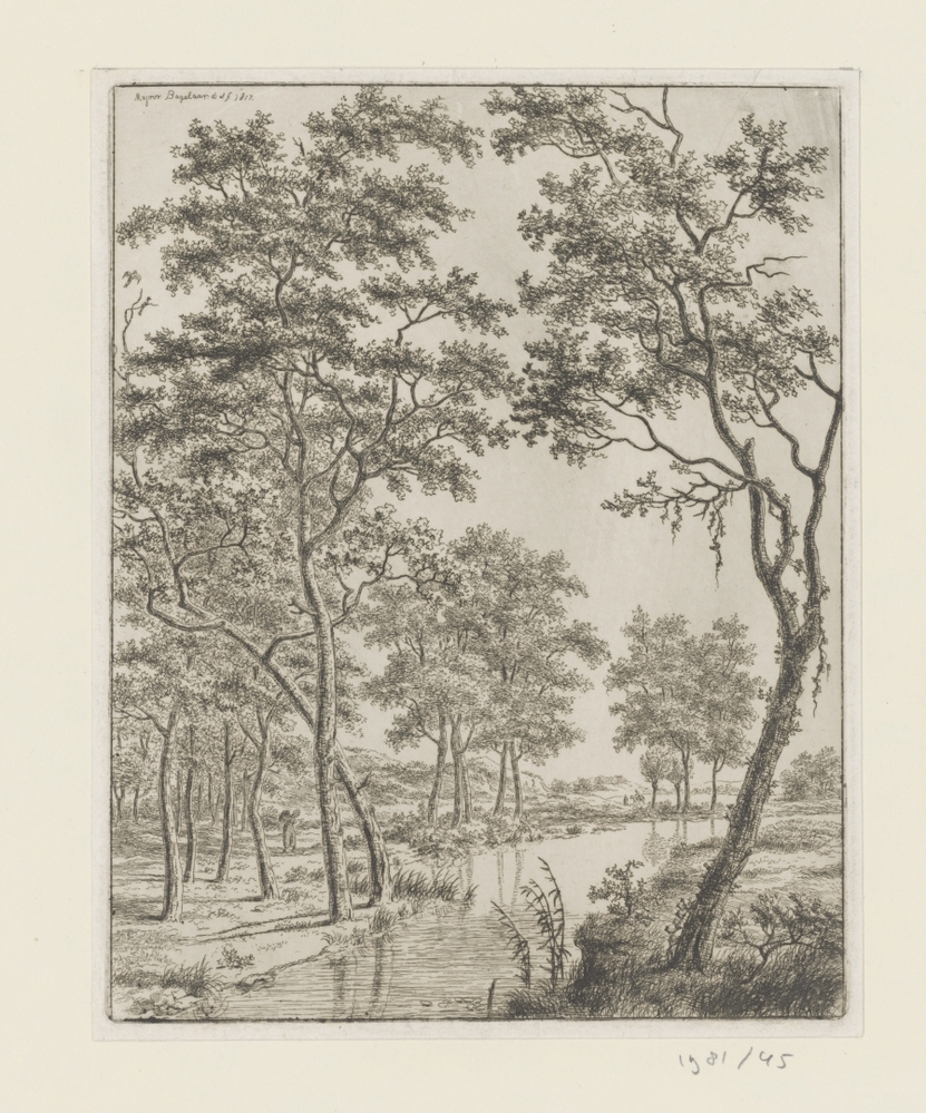 Boslandschap met meertje