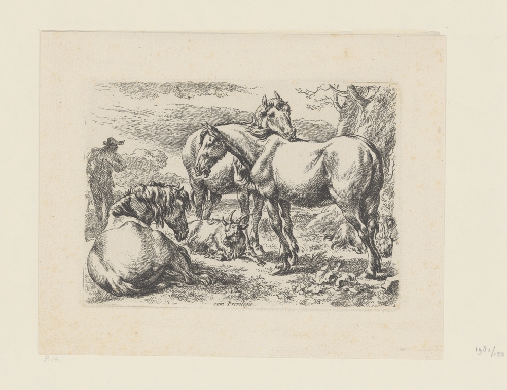 Drie paarden en een geit (serie: Dieren)