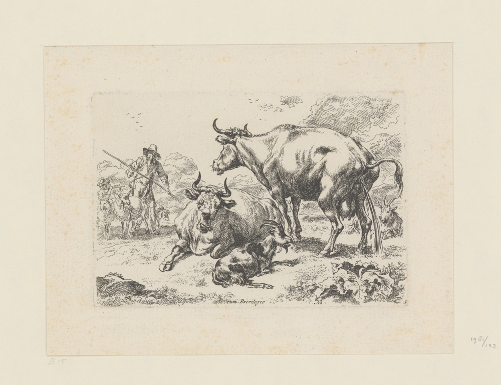 Liggende en een pissende koe (serie: Dieren)