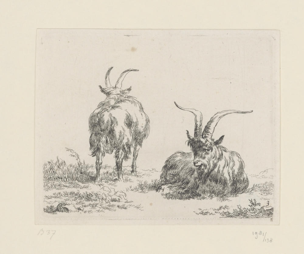 Liggende en staande geit of bok (serie: Geiten)