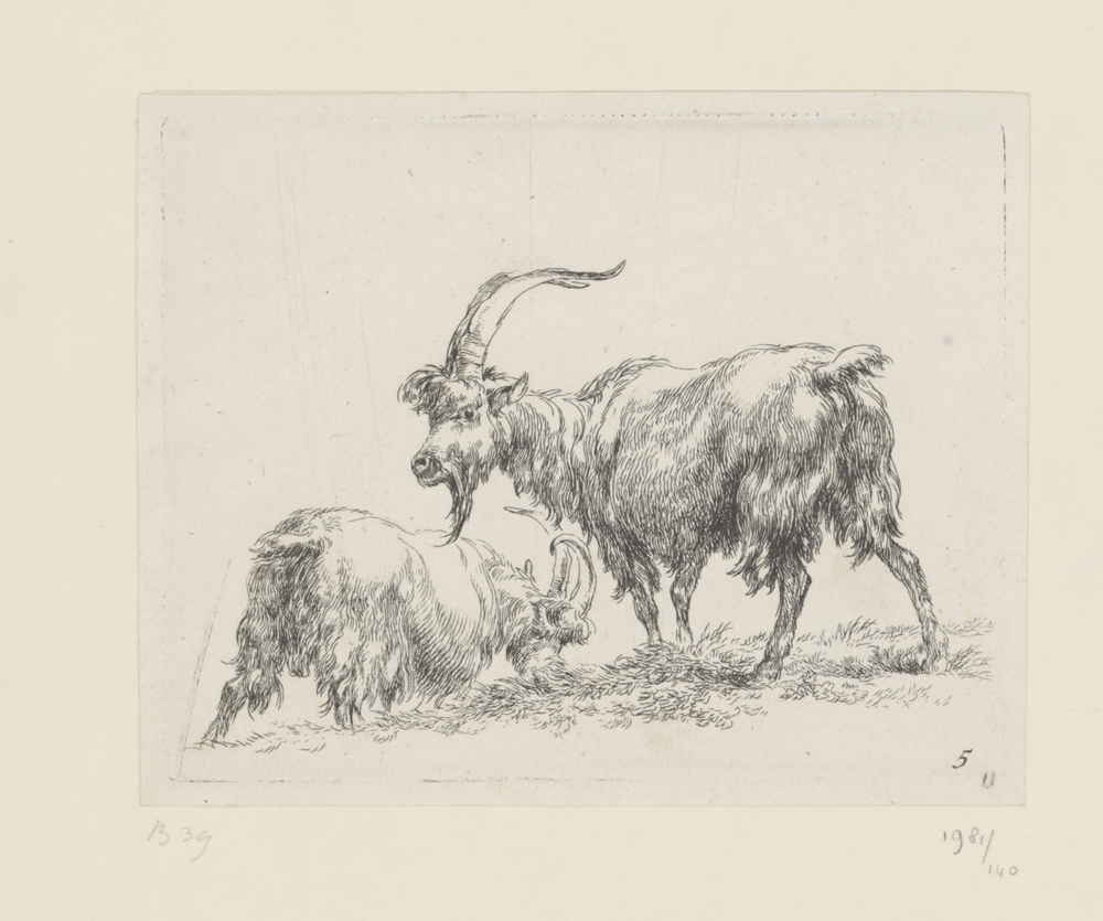 Twee geiten of bokken (serie: Geiten)