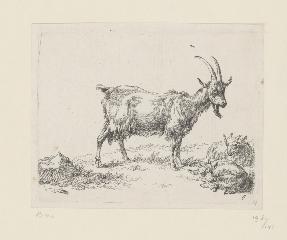 Geit en twee geitjes (serie: Geiten)