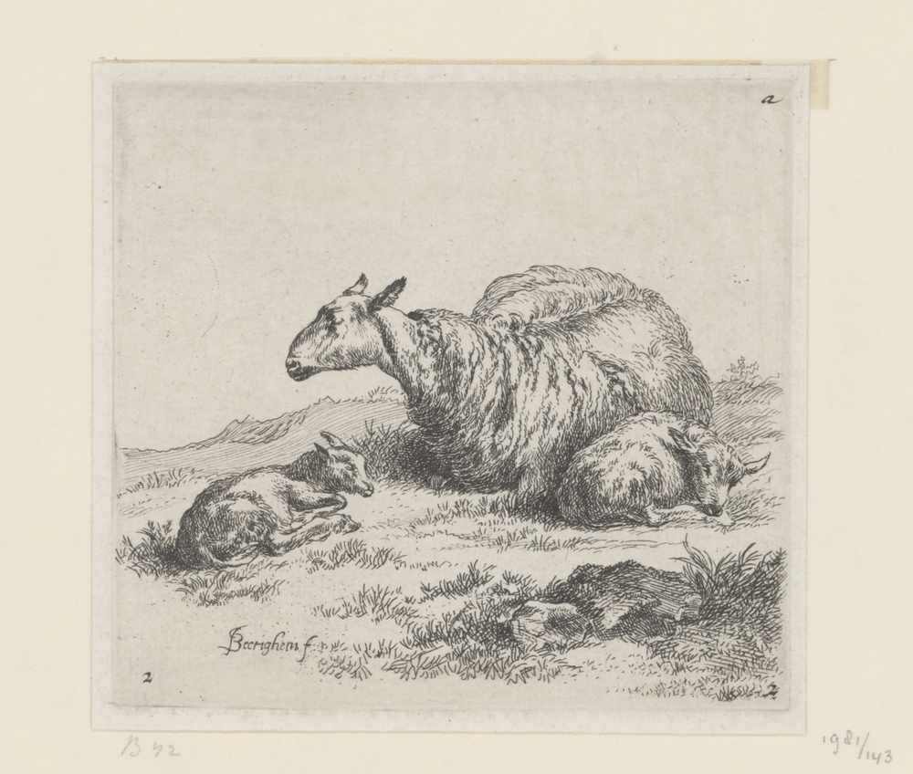 Schaap en twee lammeren (serie: Schapen)