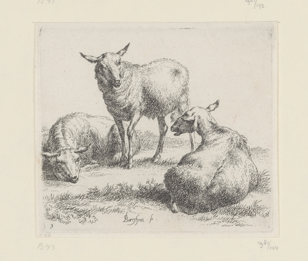 Drie schapen (serie: Schapen)