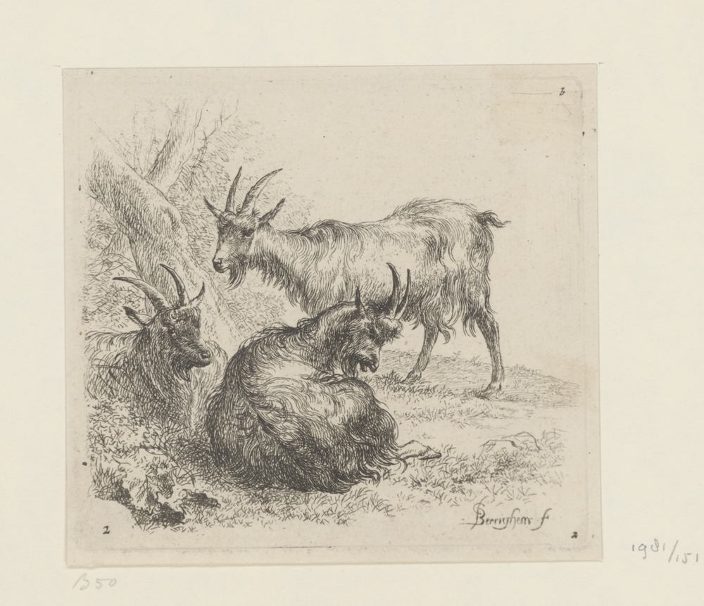 Drie geiten (serie: Verschillende dieren)