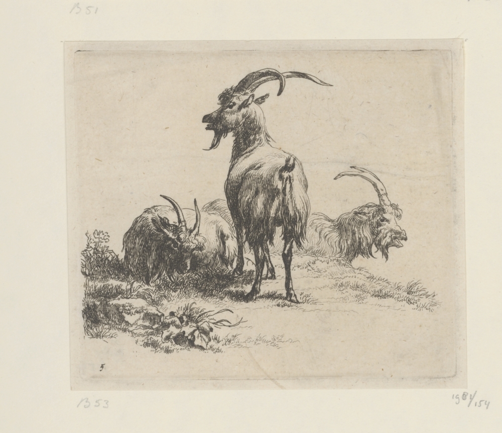 Drie bokken (serie: Verschillende dieren)