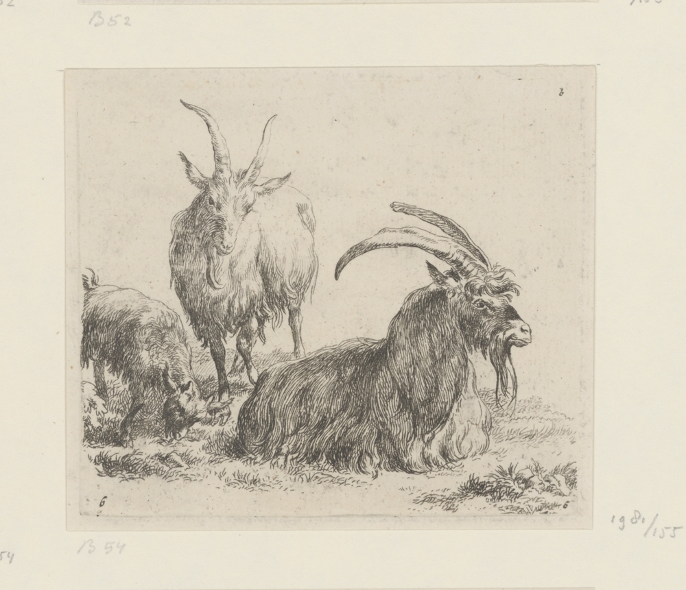 Liggende bok en geit met een bokje (serie: Verschillende dieren)