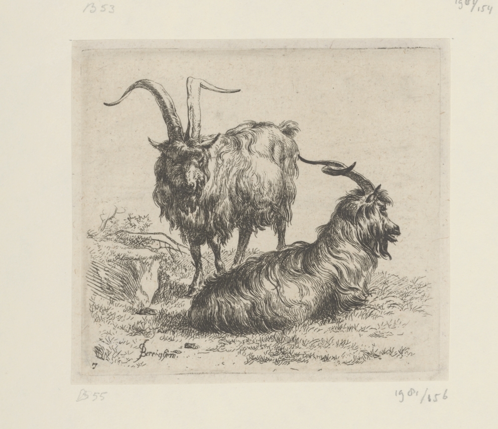 Twee bokken (serie: Verschillende dieren)