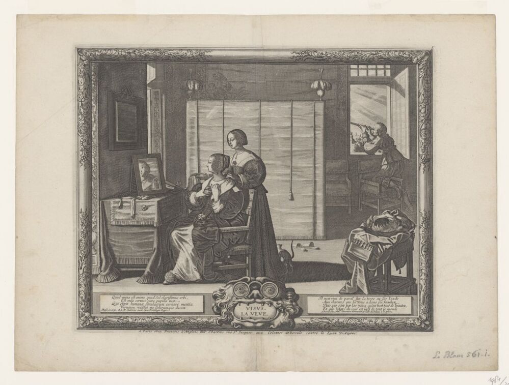 Zicht (serie: De vijf zintuigen)