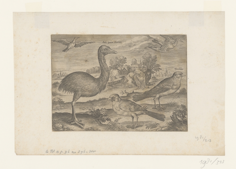 Enkele vogels in een landschap (serie: Avium Vivae Icones)