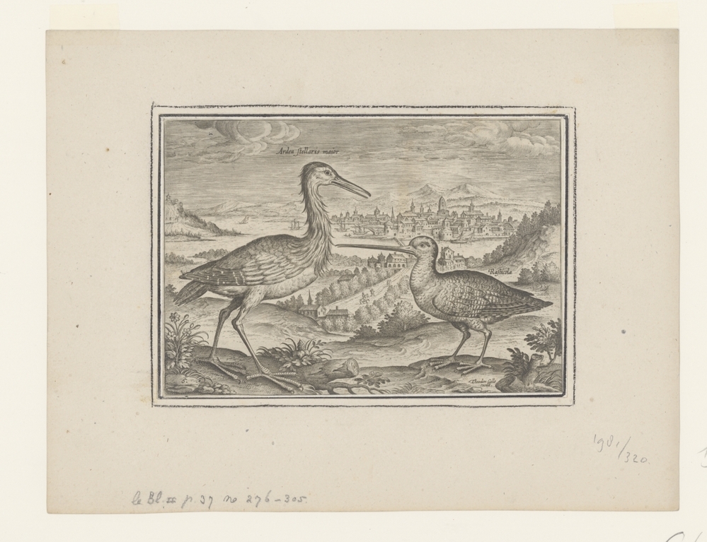 Twee vogels in een landschap (serie: Avium Vivae Icones)