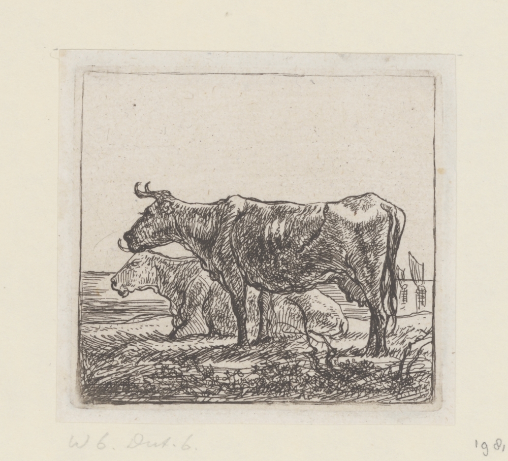 Twee koeien op een oever (serie: Koeien)