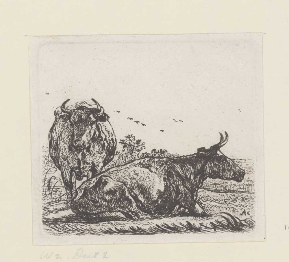 Twee koeien (serie: Koeien)